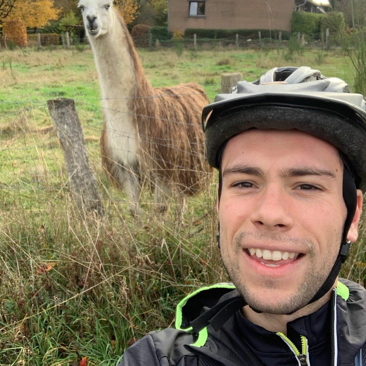Une fourmi participe au challenge Vivaforlife
